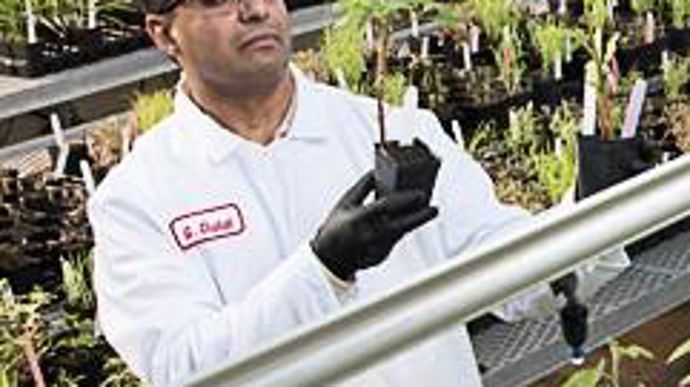 Plusieurs formulationsde bionématicides ont étémises sur le marché.