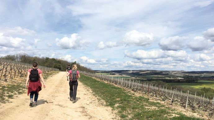 Le parcours ira de Sedan jusqu'au sudde l'Aube, soit 150 km avec des étapes dans les exploitations agricoles.AU COEUR DES PAYSANS