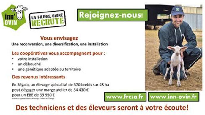 La Fédération des coops de Languedoc-Roussillon et Midi-Pyrénées a rédigé cinq encarts, présentant les différents systèmes d'élevage de la région, destinés à la communication des neuf coops ovines. La Fédération des coops de Languedoc-Roussillon et Midi-Pyrénées a rédigé cinq encarts, présentant les différents systèmes d'élevage de la région, destinés à la communication des neuf coops ovines.