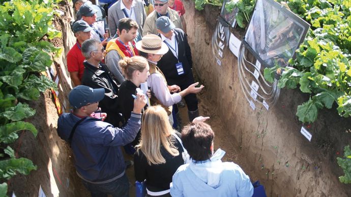 La journée consacrée aux essais sur le terrain a montré l'importance du choix des couverts antinématodes en interculture.B. CAILLIEZ