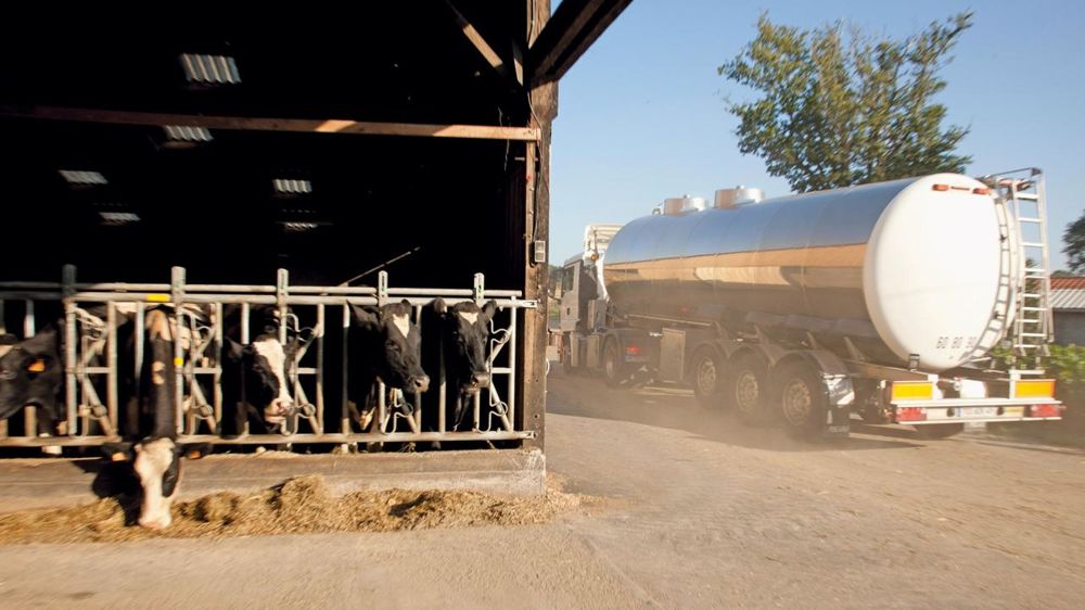 Si la FNPL donne un objectif de prix de base 2013, la balle est dans le camp des organisations de producteurs pour l'atteindre.© SÉBASTIEN CHAMPION