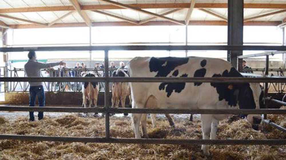 Sébastien Albouy, éleveur laitier à Francon, a présenté les performances techniques de ses Prim'Holstein à près de soixante éleveurs de la région Midi-Pyrénées, majoritairement de jeunes agriculteurs. © F. JACQUEMOUD Sébastien Albouy, éleveur laitier à Francon, a présenté les performances techniques de ses Prim'Holstein à près de soixante éleveurs de la région Midi-Pyrénées, majoritairement de jeunes agriculteurs. © F. JACQUEMOUD Sébastien Albouy, éleveur laitier à Francon, a présenté les performances techniques de ses Prim'Holstein à près de soixante éleveurs de la région Midi-Pyrénées, majoritairement de jeunes agriculteurs. © F. JACQUEMOUD Sébastien Albouy, éleveur laitier à Francon, a présenté les performances techniques de ses Prim'Holstein à près de soixante éleveurs de la région Midi-Pyrénées, majoritairement de jeunes agriculteurs. © F. JACQUEMOUD