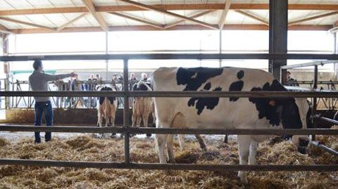 Sébastien Albouy, éleveur laitier à Francon, a présenté les performances techniques de ses Prim'Holstein à près de soixante éleveurs de la région Midi-Pyrénées, majoritairement de jeunes agriculteurs. © F. JACQUEMOUD Sébastien Albouy, éleveur laitier à Francon, a présenté les performances techniques de ses Prim'Holstein à près de soixante éleveurs de la région Midi-Pyrénées, majoritairement de jeunes agriculteurs. © F. JACQUEMOUD Sébastien Albouy, éleveur laitier à Francon, a présenté les performances techniques de ses Prim'Holstein à près de soixante éleveurs de la région Midi-Pyrénées, majoritairement de jeunes agriculteurs. © F. JACQUEMOUD Sébastien Albouy, éleveur laitier à Francon, a présenté les performances techniques de ses Prim'Holstein à près de soixante éleveurs de la région Midi-Pyrénées, majoritairement de jeunes agriculteurs. © F. JACQUEMOUD