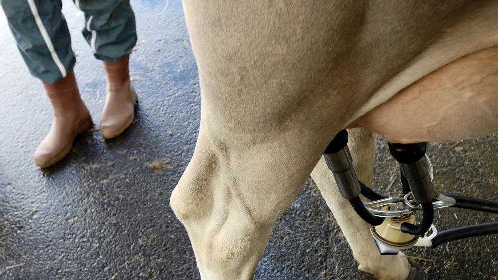 Les nouvelles règles obligent à repérer tous les mois les situations hors normes. Un outil informatique a été créé pour les gérer plus facilement.© JÉRÔME CHABANNE