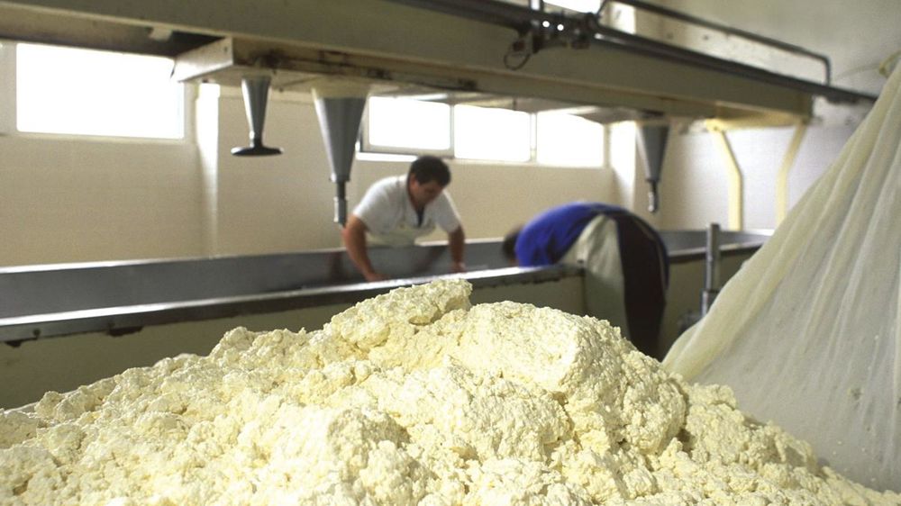 Seules les productions fermières (saint-nectaire fermier et salers) génèrent une valeur ajoutée significative aux producteurs.© JÉRÔME CHABANNE