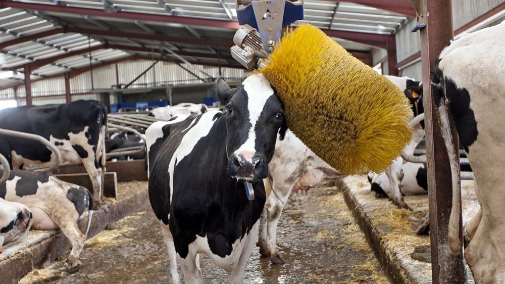 Communiquer sur les bonnes pratiques d'élevage sera essentiel pour contrer ces idéologies qui se répandent dans nos sociétés modernes.©  CHRISTIAN WATIER