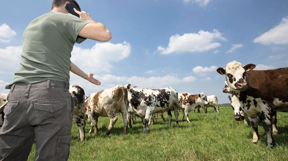 Comme le vivent leurs voisins européens, les éleveurs français auraient besoin d'un peu plus d'informations et d'ambitions de la part des transformateurs.© CHRISTIAN WATIER