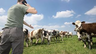 Comme le vivent leurs voisins européens, les éleveurs français auraient besoin d'un peu plus d'informations et d'ambitions de la part des transformateurs.© CHRISTIAN WATIER Comme le vivent leurs voisins européens, les éleveurs français auraient besoin d'un peu plus d'informations et d'ambitions de la part des transformateurs.© CHRISTIAN WATIER