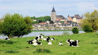 Les éleveurs des Pays de la Loire disposent d'une bonne marge de progression de leur production.© PHILIPPE MONTIGNY/FILIMAGES Les éleveurs des Pays de la Loire disposent d'une bonne marge de progression de leur production.© PHILIPPE MONTIGNY/FILIMAGES