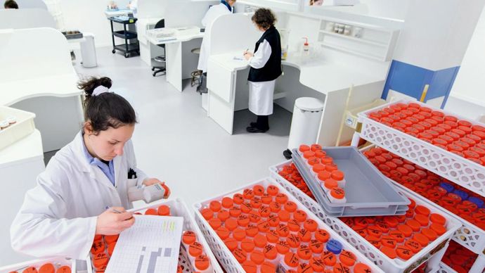 Les techniciens de laboratoire ont participé à l'ergonomie de leur espace de travail.INVIVO