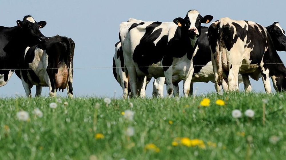 © PHILIPPE MONTIGNY/FILIMAGES