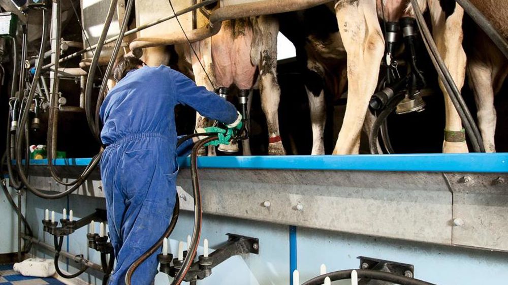 © SÉBASTIEN CHAMPION