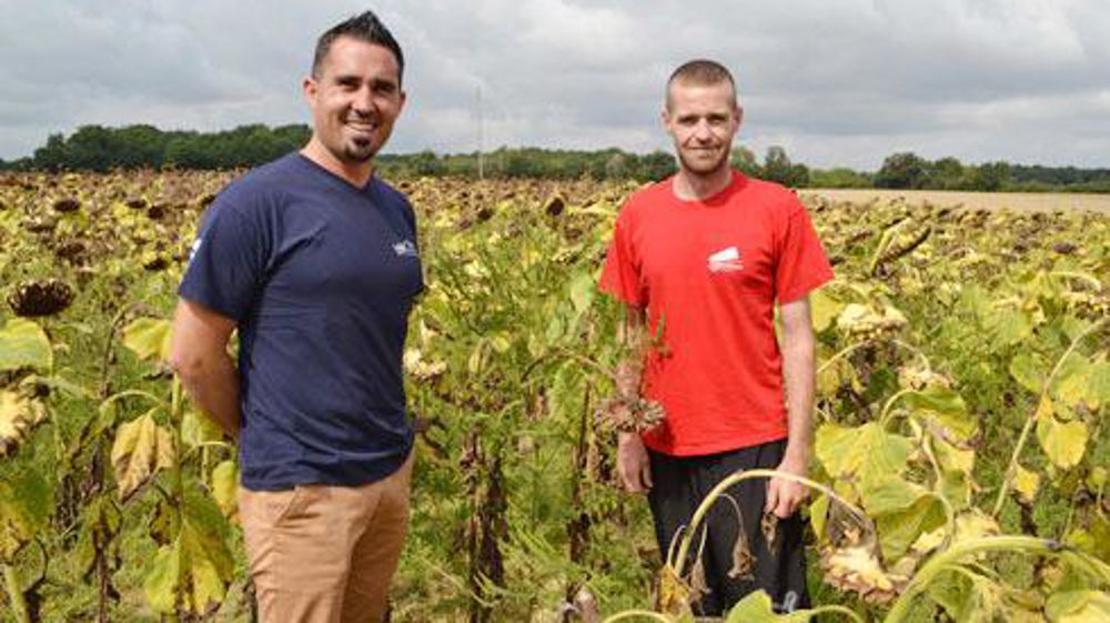 Michaël Lafon, conseiller culture de Val de Gascogne, et Laurent Dulau, agriculteur à Plieux (Gers) et administrateur des JA du Gers, veulent alerter les agriculteurs sur les risques de l'ambroisie, afin qu'elle ne s'étende pas à tout le département. © F. JACQUEMOUD Michaël Lafon, conseiller culture de Val de Gascogne, et Laurent Dulau, agriculteur à Plieux (Gers) et administrateur des JA du Gers, veulent alerter les agriculteurs sur les risques de l'ambroisie, afin qu'elle ne s'étende pas à tou