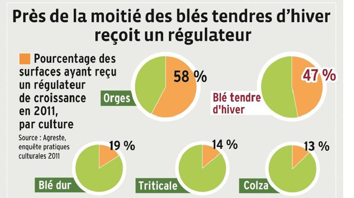 Sur la campagne 2013-2014, le marché des régulateurs pour les céréales pèse environ 45 M€, pour 4,5 Mha développés. Près de 3,4 Mha de céréales ont reçu un régulateur. BASF est aujourd'hui leader en valeur et en hectares, suivi par Syngenta, plus axé sur les hauts de gamme. Viennent ensuite Phyteurop et Bayer.