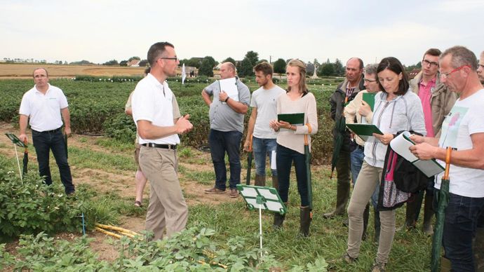 Belchim étudie toutes les stratégies possibles pour optimiser l'efficacité des programmes.B. CAILLIEZ