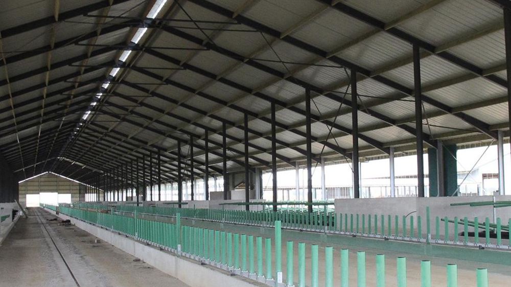 La stabulation de 9 500 m3 comprend 954 logettes. 