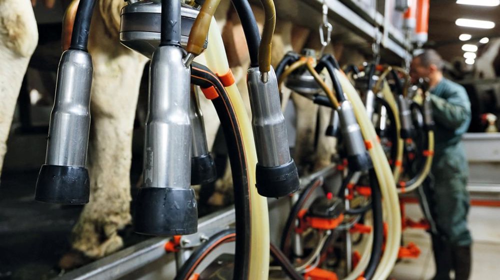 L'association laitière Jura Bresse a été reconnue OP en septembre dernier. Les producteurs adhérents livrent à Danone (73 millions de litres) et aux Fromagers de Bourgogne (10 millions de litres).© JÉRÔME CHABANNE