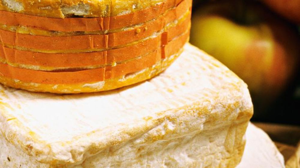 En 2013, 8 600 t de fromages bas-normands sous AOP ont valorisé 83 Ml de lait. © JEAN-MICHEL LELIGNY/PHOTONONSTOP