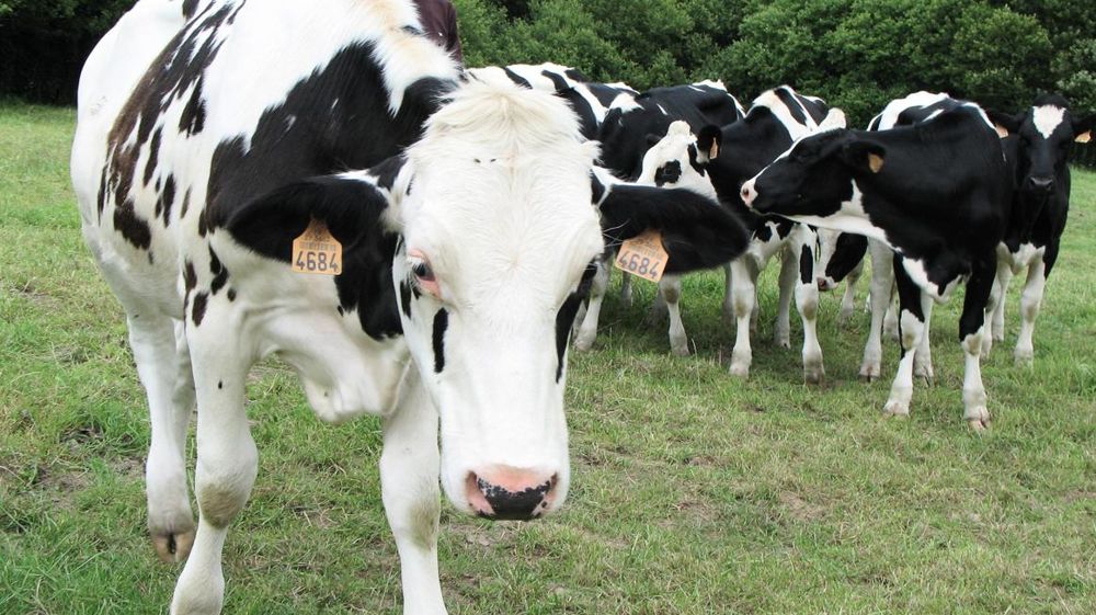 Les Bretons ont décidé d'avancer vite pour retrouver leur place dans la collecte et conquérir les nouveaux marchés. © P.L.C.