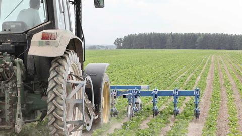 L'étude menée dans les exploitations a montré que le désherbage mixte des cultures sarclées (ici la betterave) a permis de réduire de 9 % en moyenne l'IFT herbicide.GUTNER L'étude menée dans les exploitations a montré que le désherbage mixte des cultures sarclées (ici la betterave) a permis de réduire de 9 % en moyenne l'IFT herbicide.GUTNER