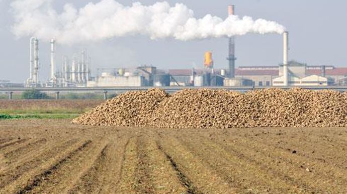 Au cours de la médiation, Tereos a proposé aux trois exclus un statut de tiers non associé qui ne les a vraisemblablement pas satisfaits. © P. MONTIGNY 