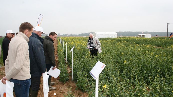 Les partenaires de la plate-forme colza de Beauvais se sont fixés pour objectif de déplafonner les rendements.B. CAILLIEZ