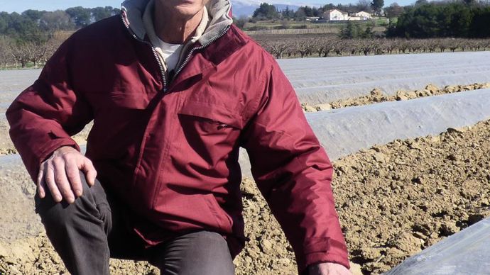 Philippe Lespinasse, responsable du service développement de la CAPL, sur l'exploitation de Didier et Florian Sourdon, à Mazan, dans le Vaucluse, où deux hectares d'asperges viennent d'être implantées.C. SARRAZIN