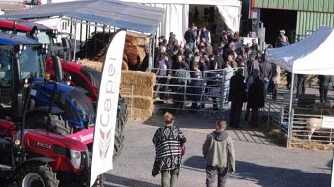 Lors de sa Journée Filières du 17 février, à Gramat (Lot), la Capel a présenté du matériel agricole à ses adhérents, ainsi qu'une série de reproducteurs bovins et ovins certifiés, vendus aux enchères. © ­CAROLINE DZIEGIEL/CAPEL Lors de sa Journée Filières du 17 février, à Gramat (Lot), la Capel a présenté du matériel agricole à ses adhérents, ainsi qu'une série de reproducteurs bovins et ovins certifiés, vendus aux enchères. © ­CAROLINE DZIEGIEL/CAPEL