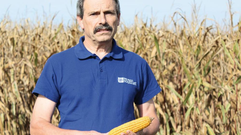« Un de mes objectifs est d'informer les conseillers des autres structures de l'intérêt de telle ou telle variété pour les usines de transformation, notamment régionales », précise Christian Savary, responsable agronomique, chez Soufflet Agriculture.SOUFFLET