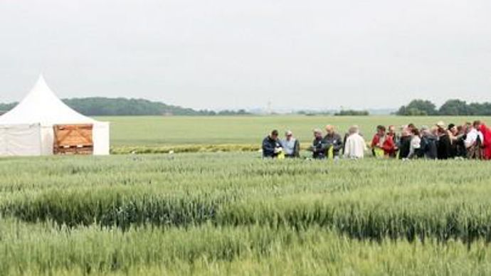 Pour Noriap, l'engagement en filière démarre avec le choix de la variété.B. CAILLIEZ