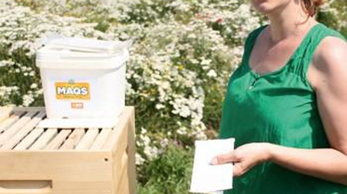 Sandrine Leblond, responsable abeilles et biodiversité chez BASF est l'instigatrice de l'opération.B. CAILLIEZ
