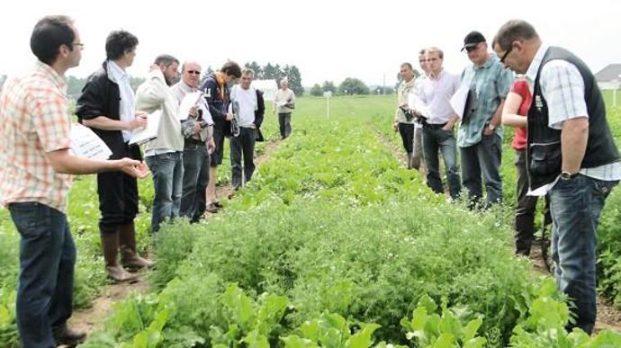Cerexagri a présenté ses trois innovations en herbicides betteraves.