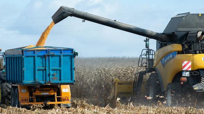 L’un des enjeux majeurs de ce nouvel outil dédié au suivi cultural, mis en place par Sencrop et Semences de France, est d’optimiser les dates de récolte. © J.-M. NOSSANT