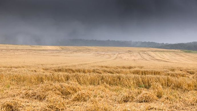 L’annonce de la réforme de l’assurance agricole coïncide avec une année 2021 marquée par de nombreux aléas climatiques. © C. THIRIET