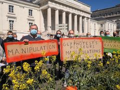 Les résultats de l’enquête du réseau FNSEA, l’hebdomadaire Terre de Touraine, démontrant la supercherie des « pisseurs volontaires » et de l’association Campagne Glyphosate, sont désormais dans les mains de la justice. Les résultats de l’enquête du réseau FNSEA, l’hebdomadaire Terre de Touraine, démontrant la supercherie des « pisseurs volontaires » et de l’association Campagne Glyphosate, sont désormais dans les mains de la justice.