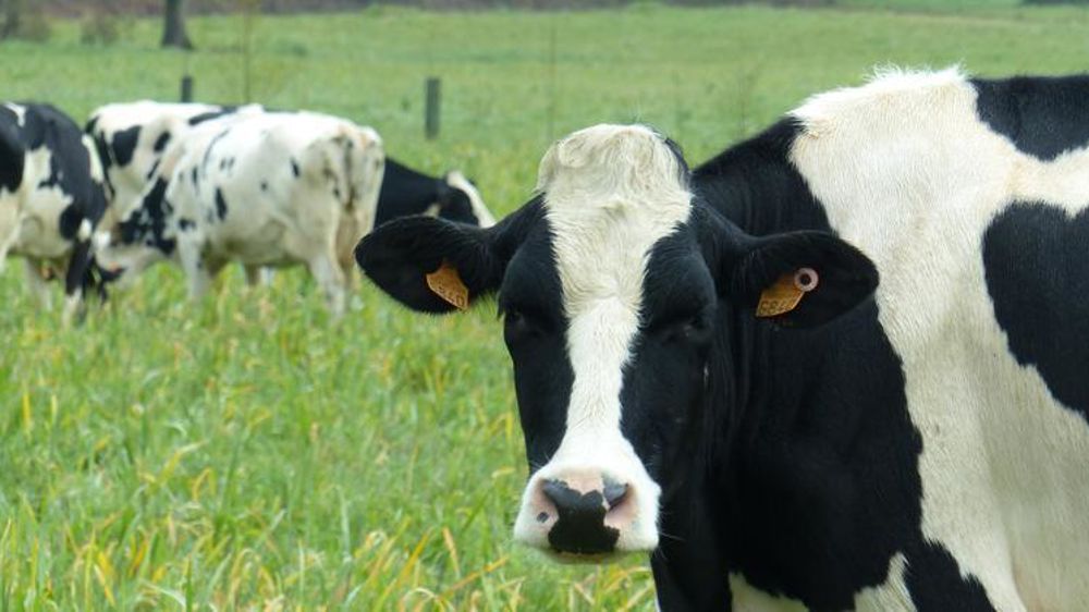 © M. Bressand / GFA 