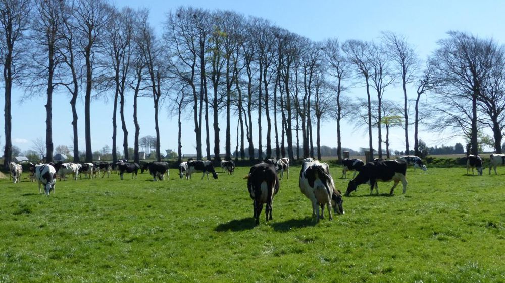 © Hélène Chaligne / GFA 