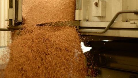 Les informations agrégées par Duralim permettent de suivre les engagements et les progrès pour une alimentation animale durable. © SOLENN DELHAYE-BOLOH