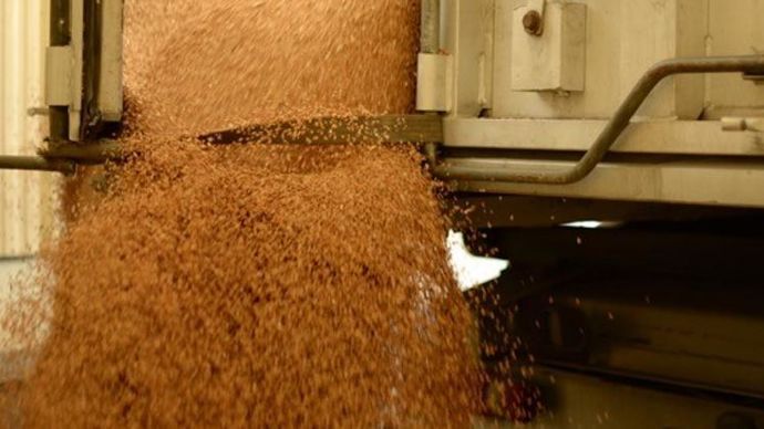 Les informations agrégées par Duralim permettent de suivre les engagements et les progrès pour une alimentation animale durable. © SOLENN DELHAYE-BOLOH