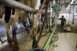 Conclusion des suivis technico-économiques de Seenovia : « Quand les producteurs de lait sont mieux payés, ils ne gaspillent pas davantage et gagnent plus ». © Cédric Faimali/GFA. Conclusion des suivis technico-économiques de Seenovia : « Quand les producteurs de lait sont mieux payés, ils ne gaspillent pas davantage et gagnent plus ». © Cédric Faimali/GFA.