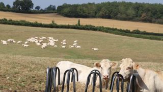 © M.-F. Malterre / GFA © M.-F. Malterre / GFA