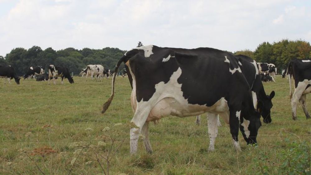  © M. Bressand / GFA