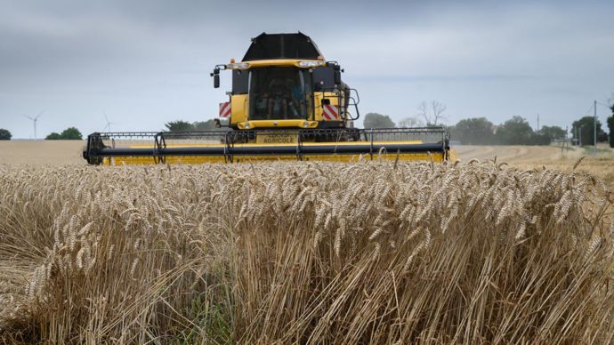 Au 22 juillet, seulement 20 % de la récolte de blé avait été effectuée sur le territoire de Soufflet agriculture. « Les rendements sont moyens à bons. Il y a une petite déception, on s’attendait en juin à une très belle récolte mais la pluie a fait quelques dégâts », signale François Berson, directeur collecte de Soufflet agriculture. © Jean-Michel Nossant