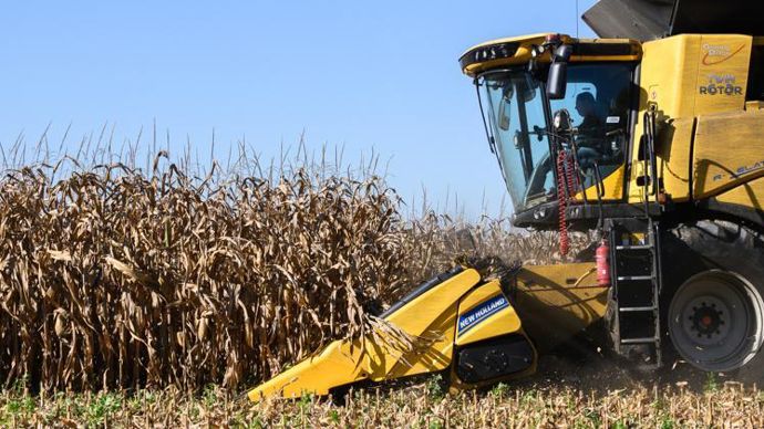 « Pour certains agriculteurs, il s’agit de récoltes records, et pour la grande majorité, les rendements sont très bons », annonce Euralis. © J.-M. NOSSANT
