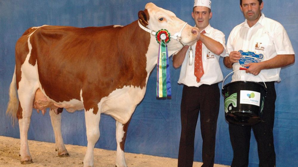 © JEAN-MICHEL VOCORET