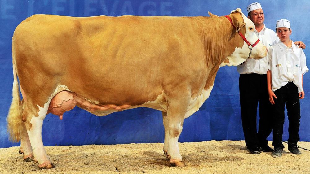 © JÉRÔME CHABANNE