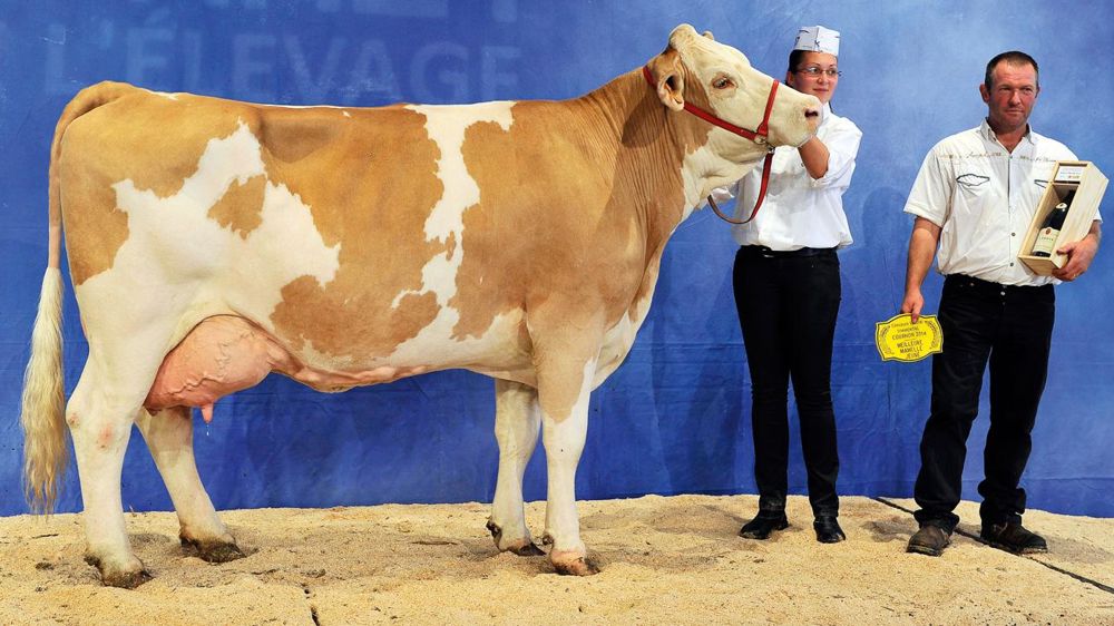 © JÉRÔME CHABANNE