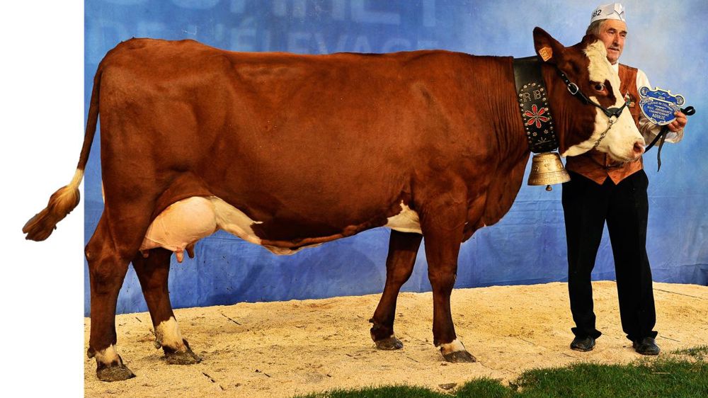 © JÉRÔME CHABANNE