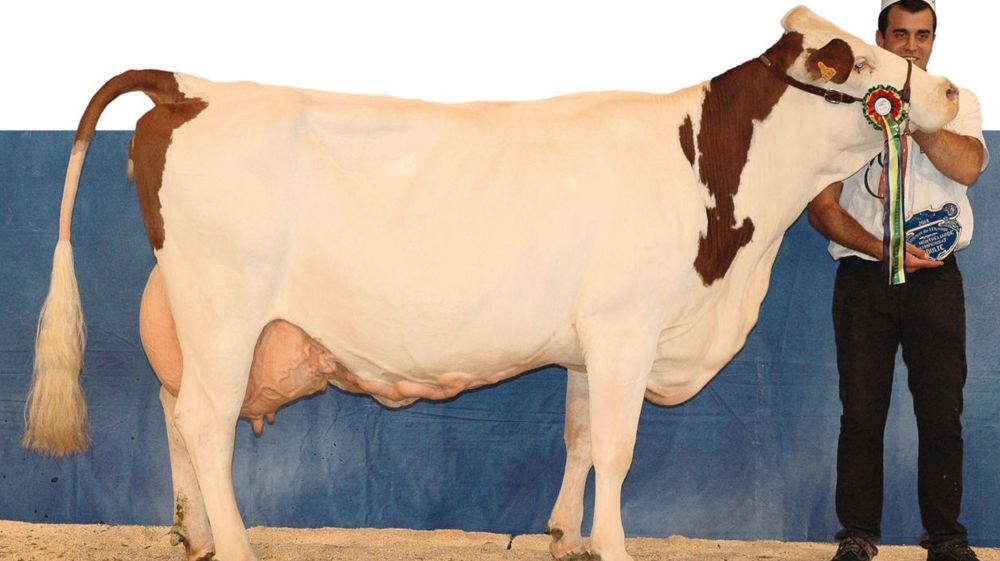 © JEAN-MICHEL VOCORET