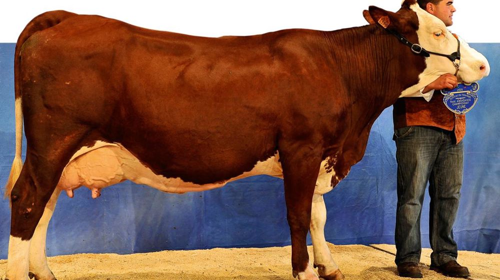 © JÉRÔME CHABANNE